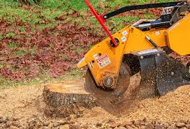 Best Lot and Land Clearing  in Vance, AL